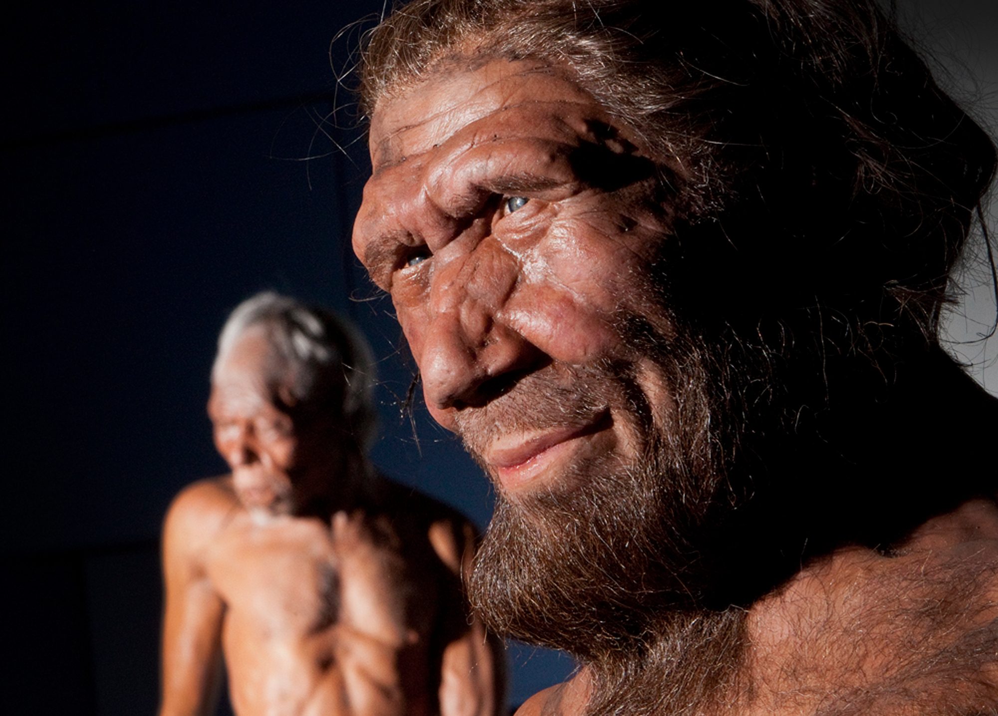 Neanderthals 'overlapped' with modern humans for up to 5,400 years